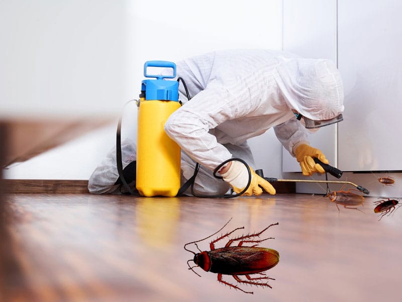 Pest control services